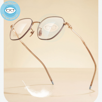 Gọng kính kim loại mã 6131